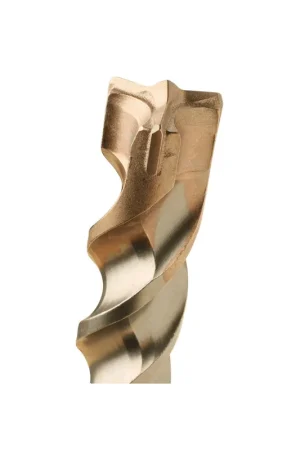 Dernière Chance Foret SDS-plus 10x310 DIAGER