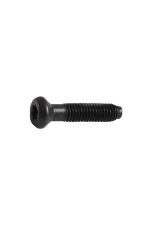 Dewalt Vis de mandrin 5x20 Torx (149518-01) Réduction